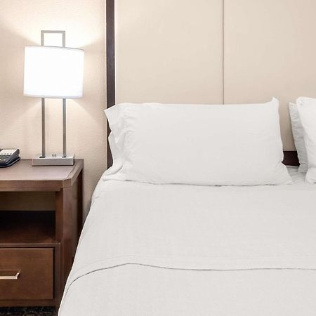 Homewood Suites By Hilton San Marcos Kültér fotó
